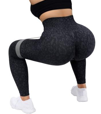 China ATLANTIC QUICK DRY BEACH Women's Waisted Butt Gaiters Seamless Lifting Yoga Pants crack! crack! high for sale