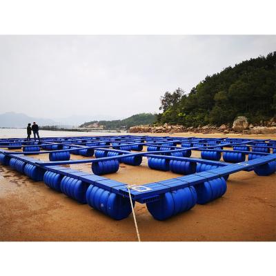 China Sea and Lake HDPE Deep Water Fish Cage Tilapia Cage Cultivation Equipment with Floating Pontoon for sale