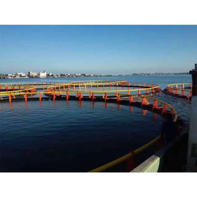 China Sea and Lake Cage Fish Raised Folding Fish Cage Fishing Crab Cage Fish Trap for sale