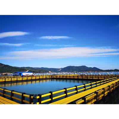 China Sea and Lake Aquaculture Pisciculture Square Abalone Leisure Fishing Cage Fish Cage Floating for sale