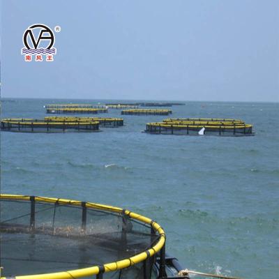 China Sea And Lake HDPE Aquaculture Fish Cage System Floating Cage For Fish With for sale