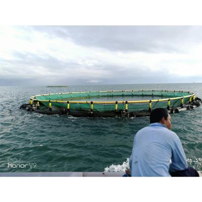 China High Yield Sea and Lake Tilapia Fish Anti-Storm Neritic Aquaculture Cultivating Cage for sale