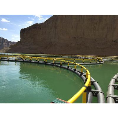 China Sea and Lake HDPE Floating Fish Cage Aquaculture Fish Farming Circular Net for sale