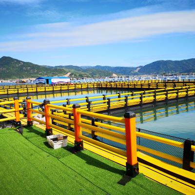 China Circular Sea and Lake Fishing Net Sea Aquaculture Fish Farm Abalone Deep Floating Cage for sale