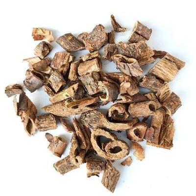 China 6006 dried with you jia pi chinese herbal hot sales dried bark cortex Acanthopanacis for sale