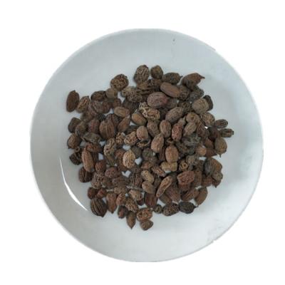 China YHC08F MU Viable tian liao Dried Natural Actinidia Polygama Wild Silvervine Fruit for Cats for sale