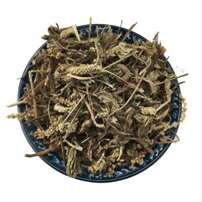 China Best 3051 Che qian cao dry plantain herb for tea for sale