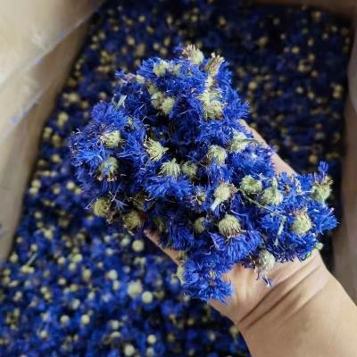 China 4027 Dried Flowers Shi che ju 500g Premium Whole Raw Whole Dried Blueberry Cornflower For Tea for sale