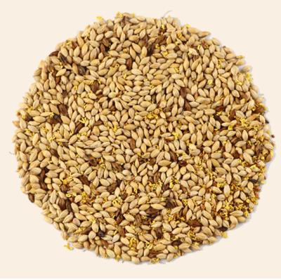 China Tea Drinks Flower Grain Tea Grain Beverage Osmanthus Dry Blend Chinese Flavored Barley Tea HXG001 for sale