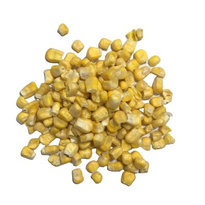 China FD001V Factory Direct Supply 100% Dry Freeze Dried Corn for sale