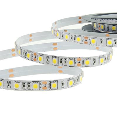 China LANDSCAPE led strip lights 5050 RGB single color 24v waterproof ip65 led strip kit 5m flexible rope light for sale