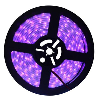 China LANDSCAPE 395nm LED Strip IP20 300leds DC12V UV Light Purple Color 5050 Non Waterproof Disinfection Germicidal Light for sale