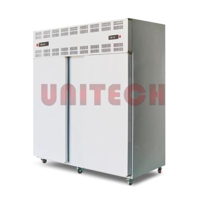 China Easy Operation 40 Trays Ice Block Blast Freezer Chocolate Professional For Fish And Chicken for sale