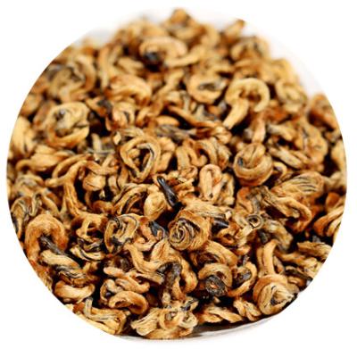 China Loose Bud Golden Spring Snail Spiral Tea Pure Handmade Top Quality Dian Hong Jin Luo Yunnan Black Tea for sale