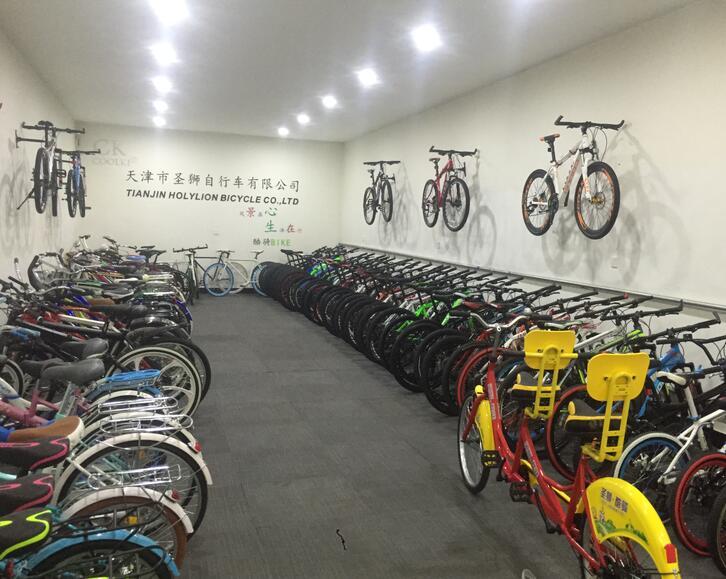 Verified China supplier - Tianjin Holylion Bicycle Co., Ltd.