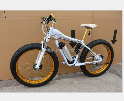 China 26inch steel fat tire electric bicycle E-SS023 for sale