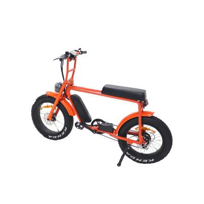 China Standard Sports Electric Bicycle Outdoor Mountain Bike With 36V10Ah Lithium Battery for sale