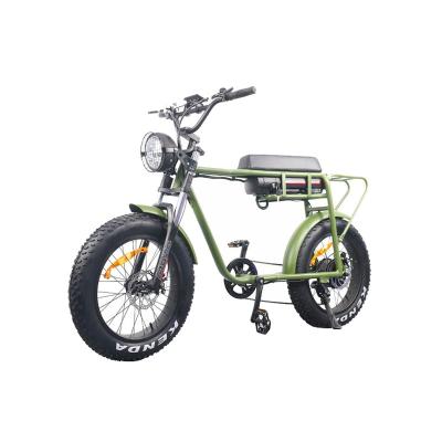 China OEM Factory Standard Electric Bicycle 20