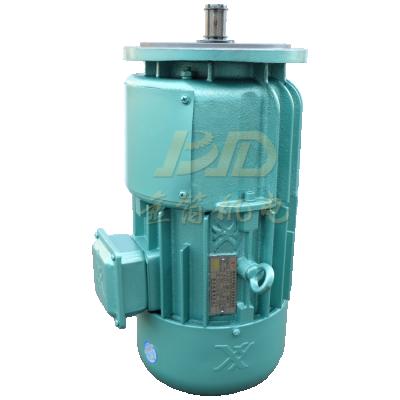 China AC Induction Main Motor Totally Enclosed Three Phase Motor For Crane 380v/440v/66v With Winding Rotor Slip Ring Motor for sale