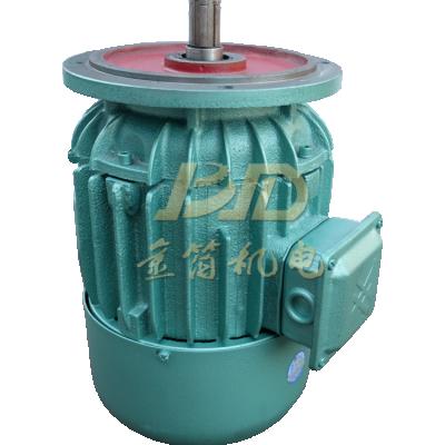 China Totally Enclosed 380v Conical Rotor Three Phase Motor For Bridge Crane for sale