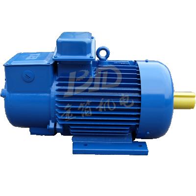 China 1.5~200KW Three Phrase Electric Motors Drip Proof 21kw Product Hoisting Crane Motor Product Brand Electric Motor for sale