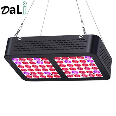 China Indoor Factory Popular Full Spectrum 300w 600w 1200w Iron Led Panel Led For Growing Light for sale