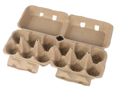 China Single Paper Pulp Egg Carton Pulp Fiber Egg Tray 6x2 Biodegradable Cell Molded Paper Pulp Packing Tray Made From Vietnam for sale