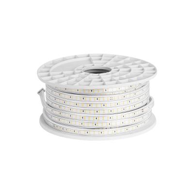 Cina 220v LANDSCAPE AC LED Strip Light in vendita