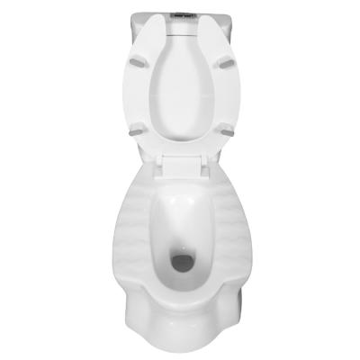 China China Factory Customized Modern Automatic Operation Squat Pan Ceramic Bowl Toilet for sale