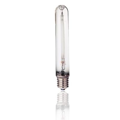 China High Lumens Plant Growth Lamp Bulb 600 Watt Sodium HPS Vapor For Greenhouse Indoor Vegetables for sale