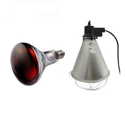 China For Animal Growth Infrared Heat Lamp For Chick IR R125 Heat Lamp for sale