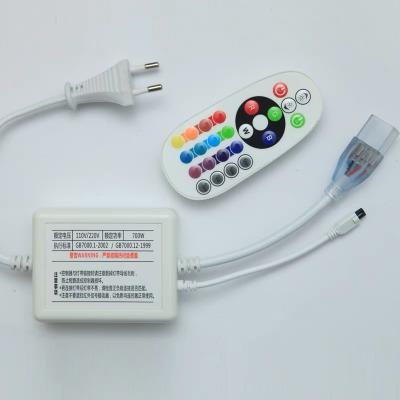 China Remote Control Garden Light Strip High Effiecincy 12v 24v 220v Led Flex Socket for sale