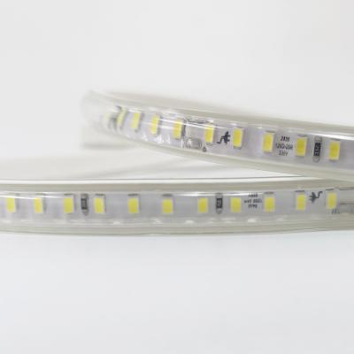 China Theme Park 60LED 120LED White RGB 220V 12V 24V LED Strip Lights Waterproof Flexible LED Strip Strip for sale