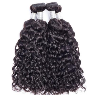 China Silky Straight Wave Brazilian Water Wave Virgin Hair Bundles With Closure for sale