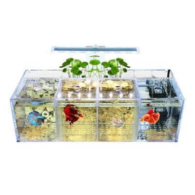 China Small Viable Aquarium Acrylic Isolation Fish Tank for sale