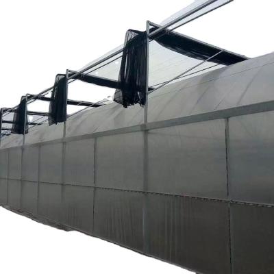 China No Welding Common Structure Low Cost Multi-span Agriculture Commercial Used Poly Plastic Film Greenhouse For Sale for sale