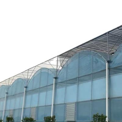 China Stable Structure/Easily Assembled/No Welding Fuma Sales Agriculture Multi-Span Arch Plastic Sheet Greenhouse And Other Greenhouse Product for sale