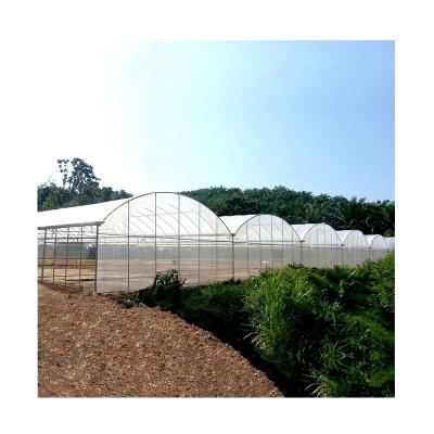 Chine Stable Structure / Easily Assembled / No Welding FM Commerical Agriculture Hydroponic Greenhouse Maker à vendre