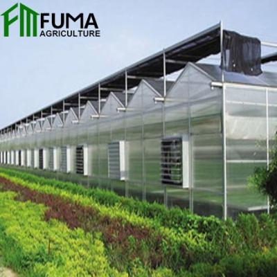 Chine Stable Structure/Easily Assembled/No Welding High Quality Fuma Agriculture Multi-Span Glass And Plastic Sheet Hydroponic Greenhouse à vendre