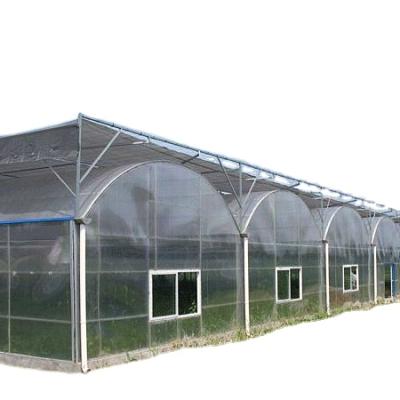 Chine Stable Structure/Easily Assembled/No Welding Complete Vertical Growing Aquaponics Systems Greenhouse Hydroponic Farm Supplier à vendre