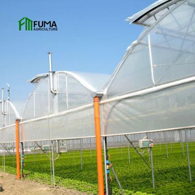 China Fruit Vegetable Flowers FUMA Customized Greenhouse For Tomato Hydroponics System Greenhouse For Tropical Climate en venta