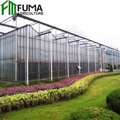 中国 Stable Structure And Easily Assembled FM Multi-span Polycarbonate Sheet Greenhouse For Sale 販売のため