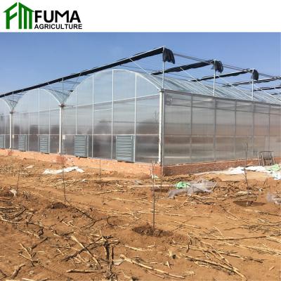 China Assembled/No Welding Factory Supply Cheap Low Cost Stable Structure/Easily Polycarbonate Sheet Commercial Greenhouse For Vegetable Fruits Flowers Te koop