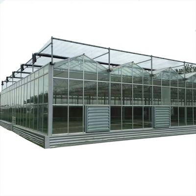 China Multi-span Vegetable Venlo PC Sheet Polycarbonate Commercial Container Greenhouse Te koop