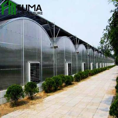 Chine Factory Best Price Plant Venlo Multi Span Greenhouse PC Sheet Polycarbonate Sheet Greenhouse For Agriculture à vendre