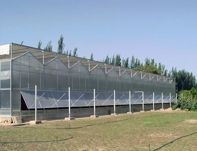 China Stable Structure / Easily Assembled / No Welding Polycarbonate Hydroponic Garden Aluminum Greenhouse Greenhouse zu verkaufen