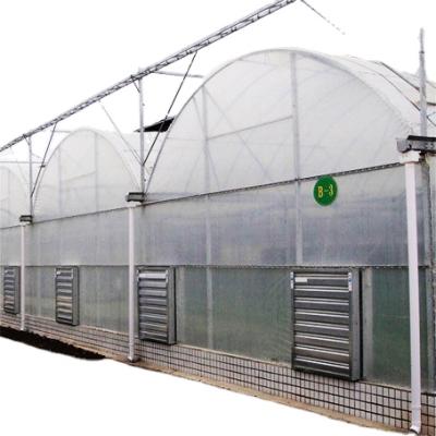 China Stable Structure and Easily Assembled Fuma Agriculture Multi-Span Arch Plastic Sheet Greenhouse Tomato and Strawberry Greenhouse for sale