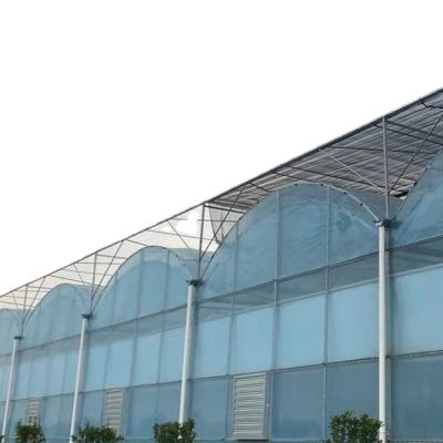 China Stable Welding Agriculture Multi-Span Plastic Sheet Greenhouse Tomato Greenhouse / Easily Assembled / No Stable for sale