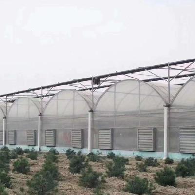 China Stable Welding Agriculture Multi-Span Plastic Structure / Easily Assembled / No Welding Greenhouse Tomato Greenhouse for sale