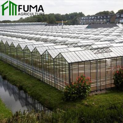 China Different Kinds Of Multi-span Hydroponic Cheap Glass Greenhouse Hydroponic Agriculture System FUMA Greenhouse for sale